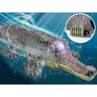 Kép 4/5 - RC Krokodil Csónak