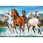 Kép 2/2 - 200 darabos Castorland puzzle - Hív a természet - Vadlovak