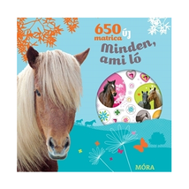 Lovas Matricás Füzet 650 db-os