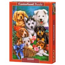 Castorland 1000 db-os Puzzle - Kölyökkutyák