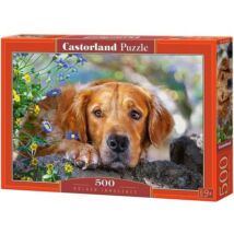 Castorland 500 db-os Puzzle - Golden Retriver