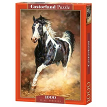 Castorland 1000 db-os Puzzle - Töretlen Szellem