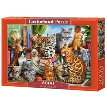 2000db-os Puzzle Macskák Háza