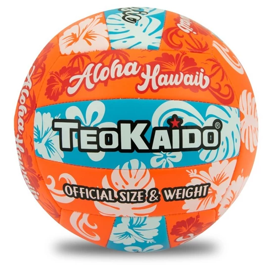 TeoKaido Röplabda