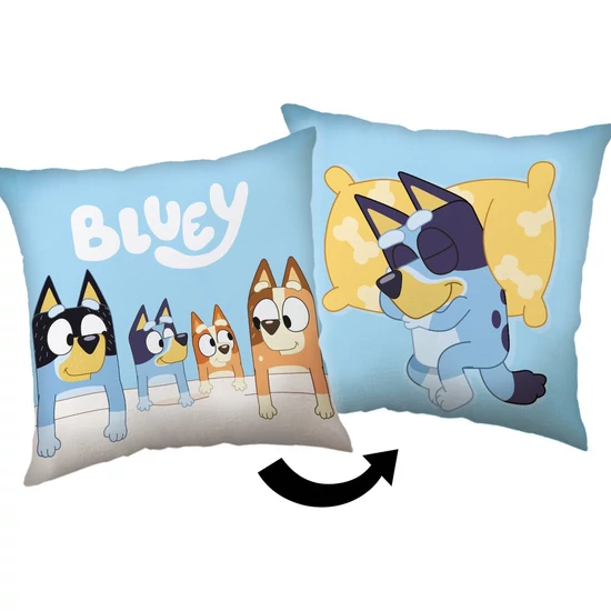 Bluey Jóéjt Párna 40cm